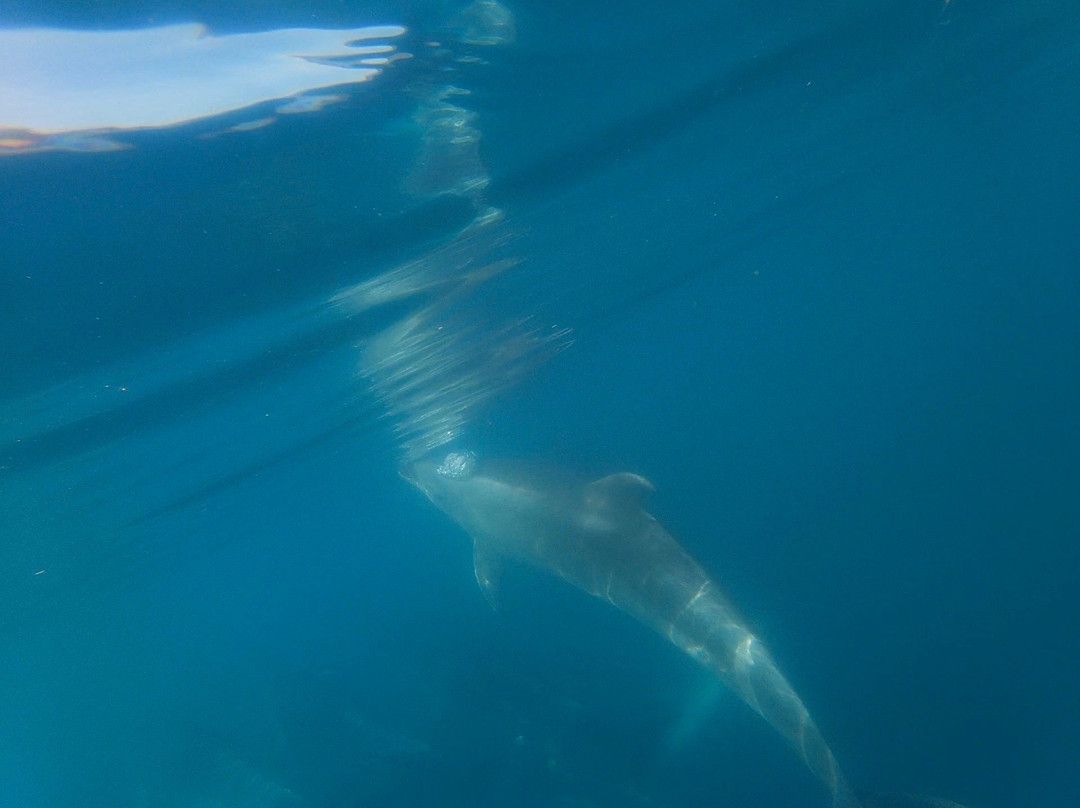 科科莫公寓主图