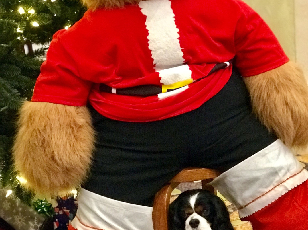 Stamford Marriott Hotel & Spa主图