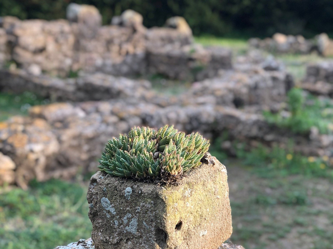 Ruins of Kerkouane-Kelibia必去景点