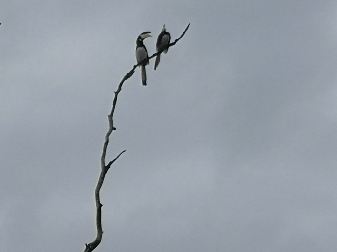 Udawalawe Safari by Leel.-乌达瓦拉瓦必去景点