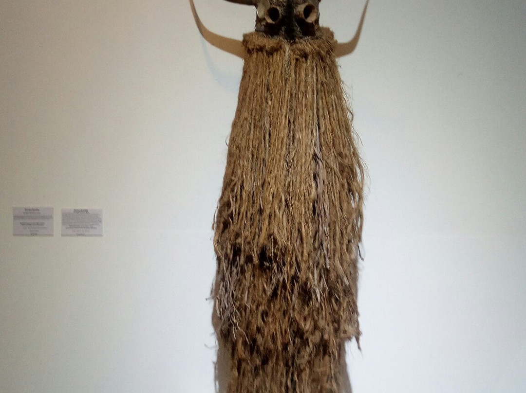 IFAN Museum (African Arts Museum)景点图片
