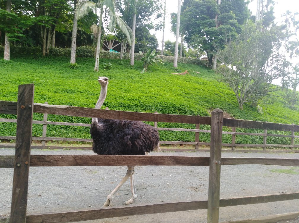 Parques Panaca-Quimbaya必去景点