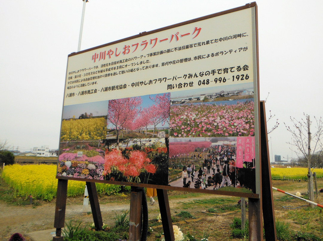 Nakagawa Yashio Flower Park-八潮市必去景点