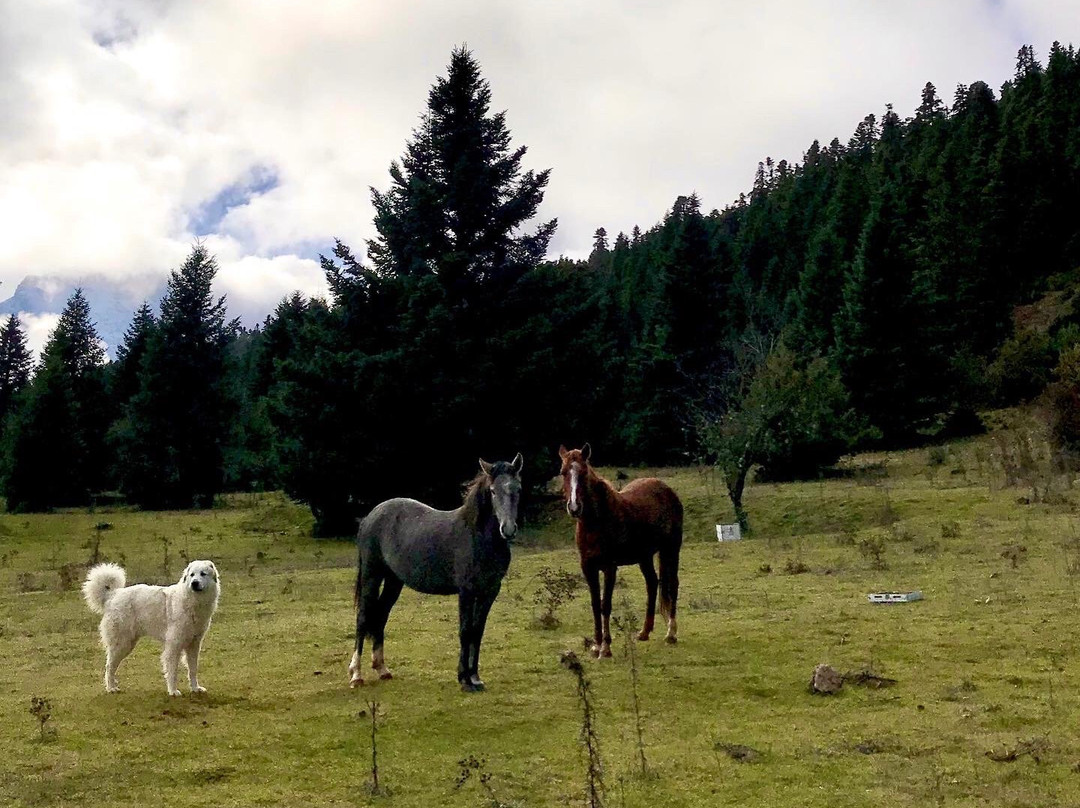 Katafygio-Oiti-Panourgias必去景点