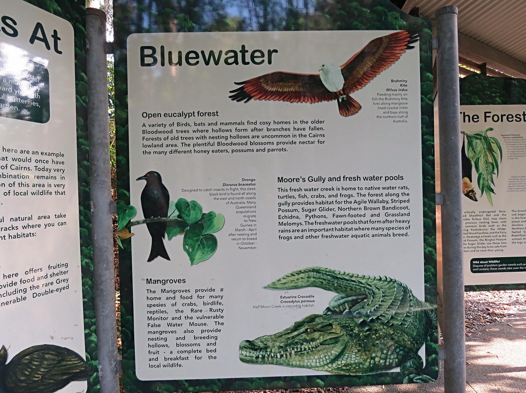 Earl Hill-三一海滩必去景点