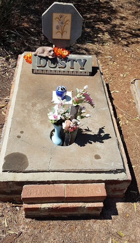 Corrigin Dog Cemetery景点图片