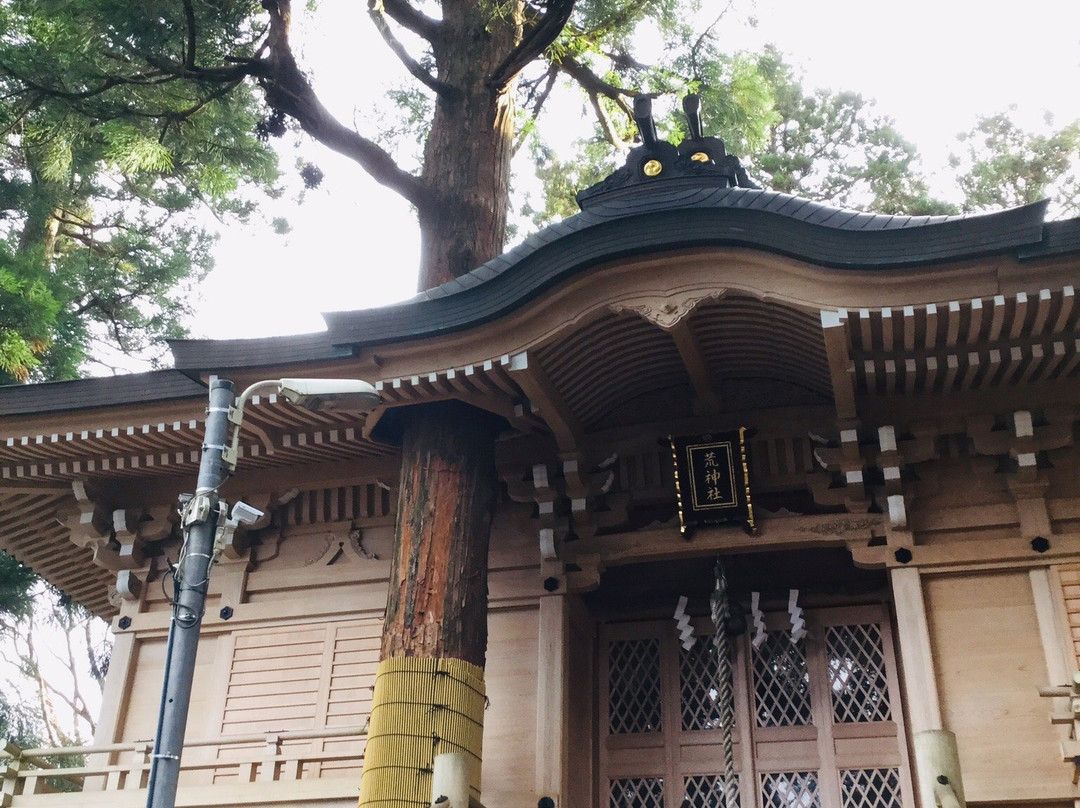Tateriko Shrine景点图片