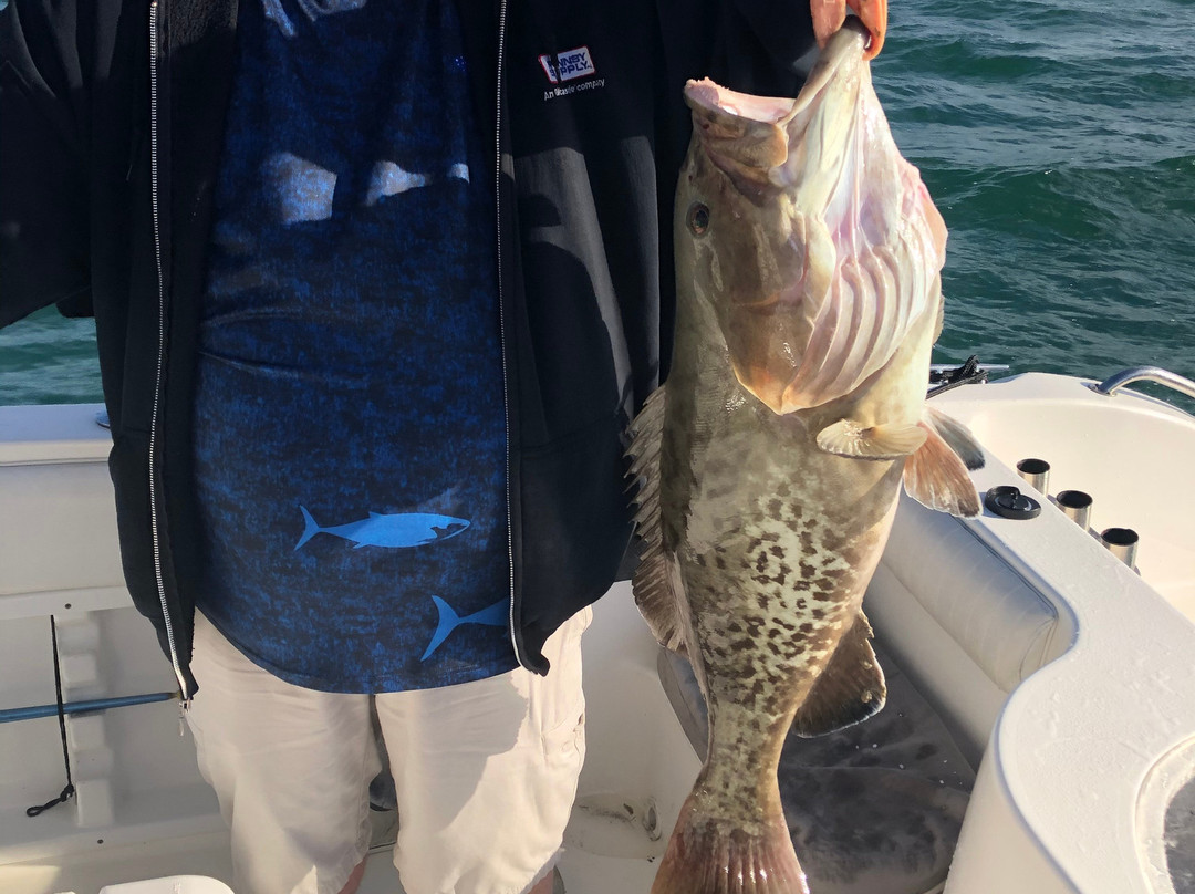 Salty D's Charters-Weeki Wachee必去景点