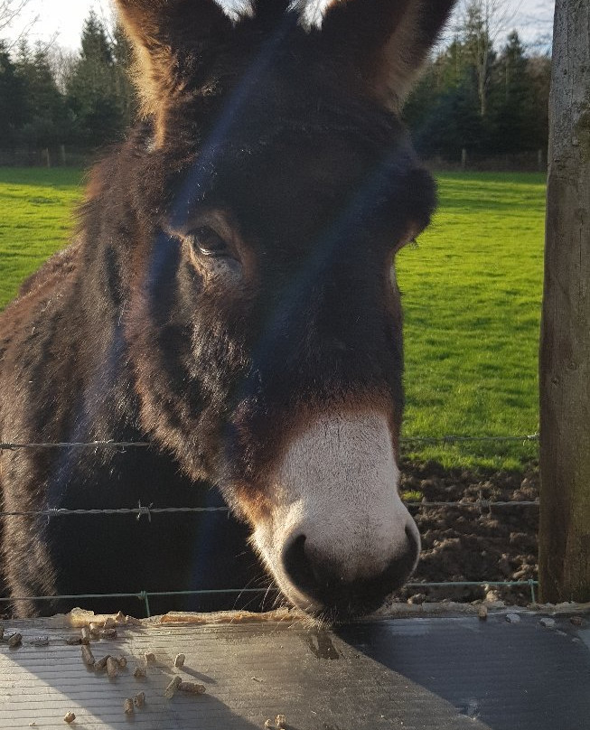 Pot House Hamlet-巴恩斯利必去景点