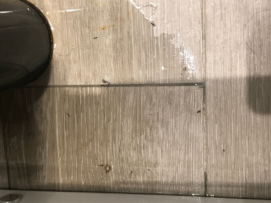 潘普洛纳广场酒店主图