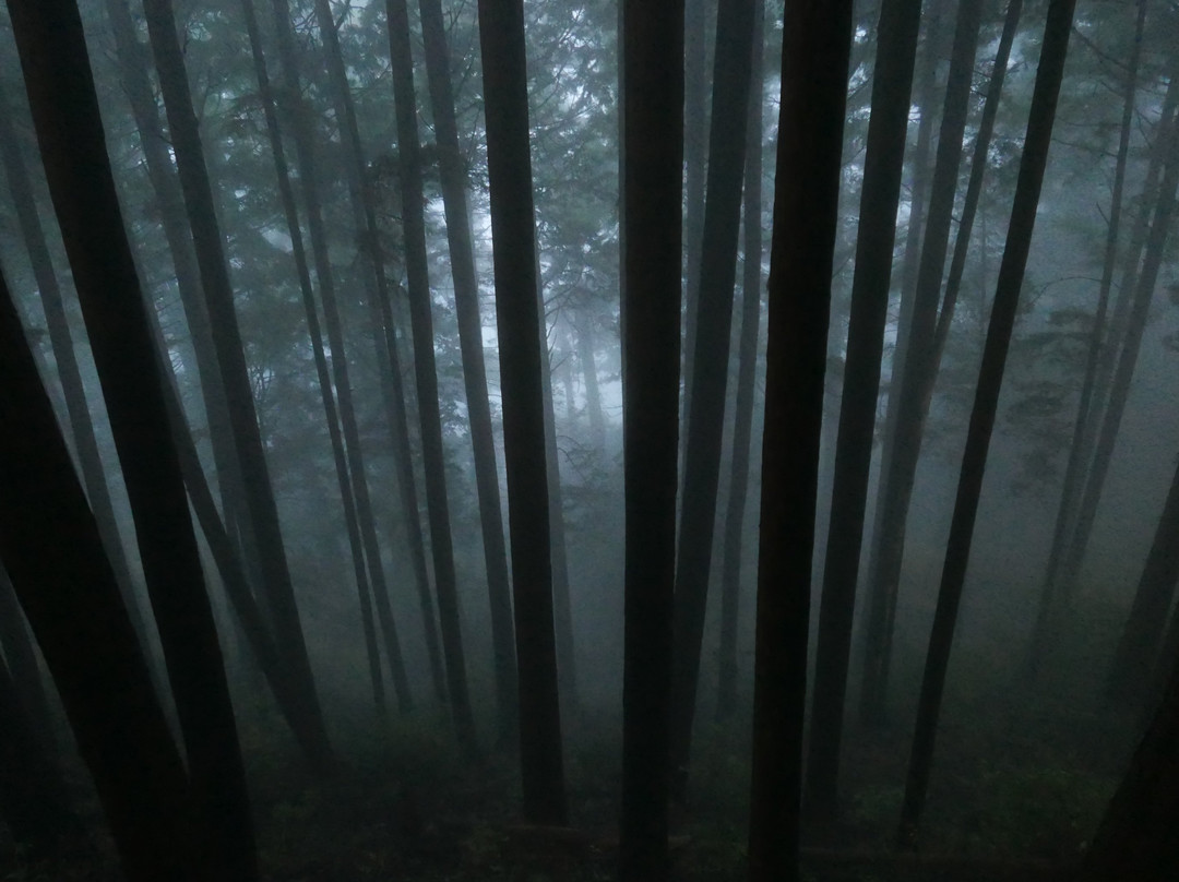 Mt. Mitake-青梅市必去景点