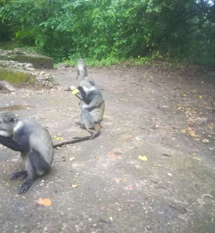 Vera Africa Tours And Safaris-瓦塔木必去景点