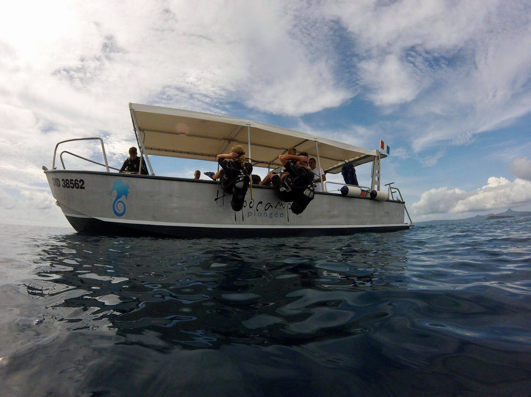 Hippocampe plongee-Mamoudzou必去景点