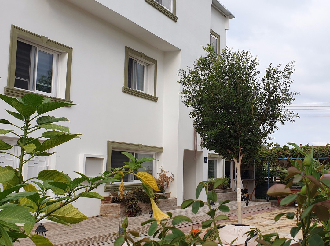 Sun Rays Girne Hotel主图