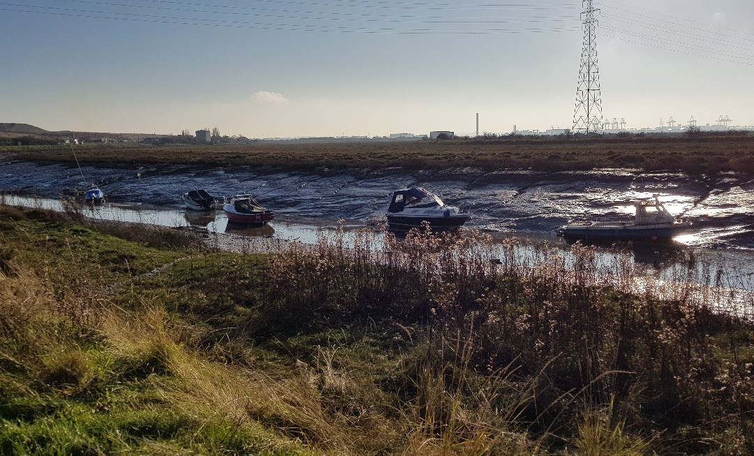 Wat Tyler Country Park景点图片