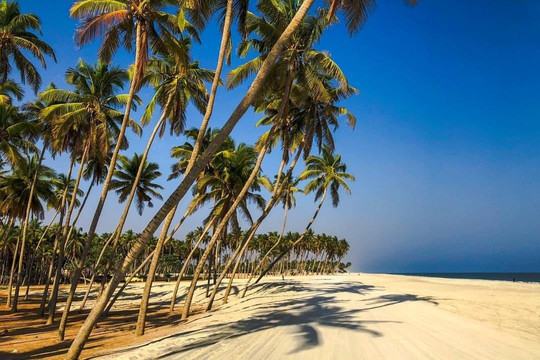 Raya Tour-塞拉莱必去景点