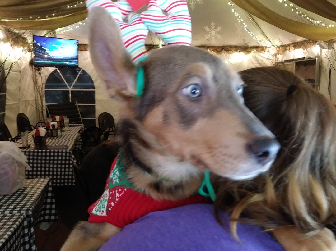 Stanley's Northeast Bar Room-明尼阿波利斯必去景点