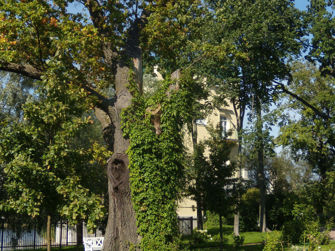 Olga's and Tsaritsyn Islands Pavilions景点图片