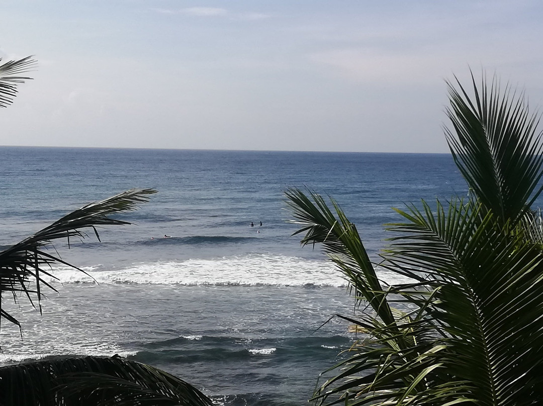 Jayanthi Surf Dreams主图