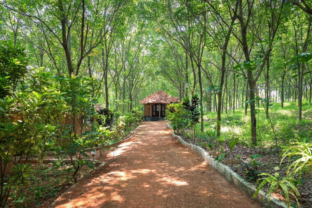 Vastuka Ayurveda & Yoga Retreat