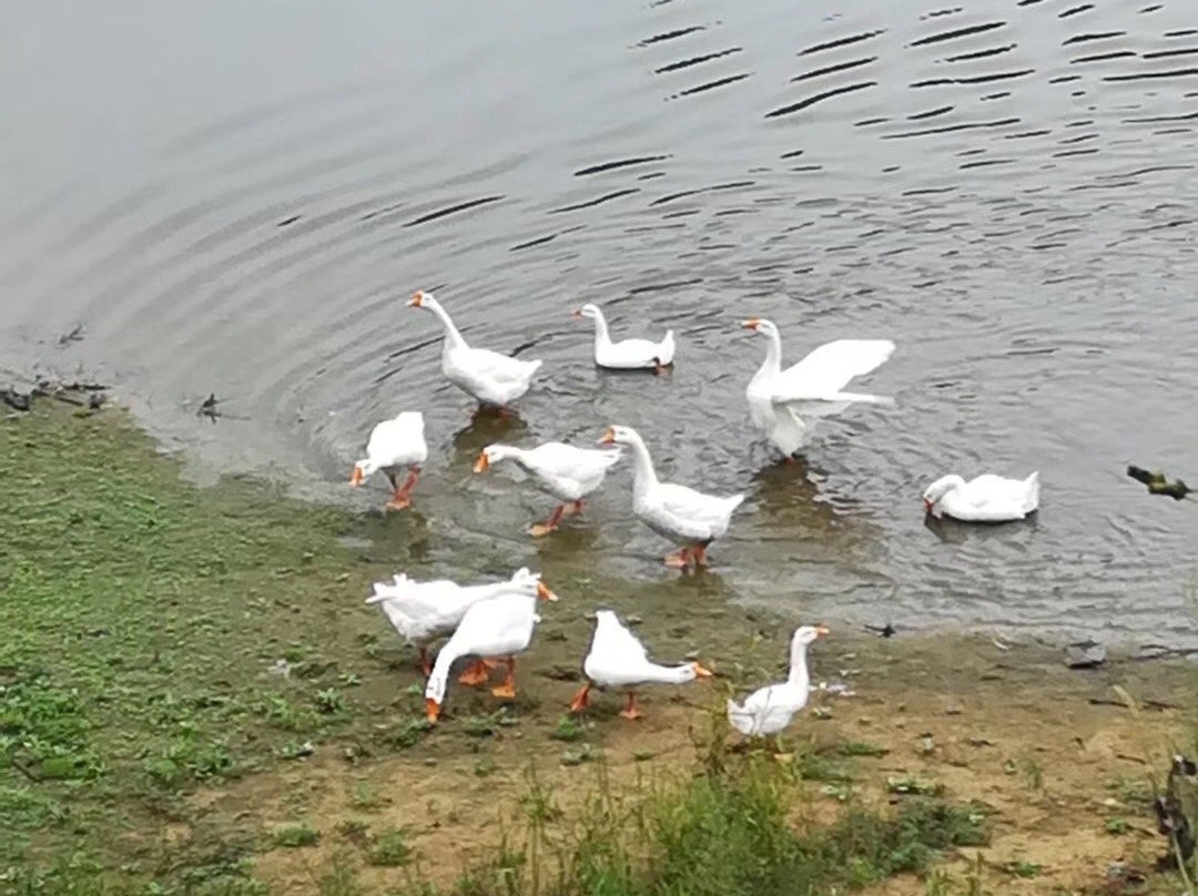 木兰清凉寨-武汉市必去景点