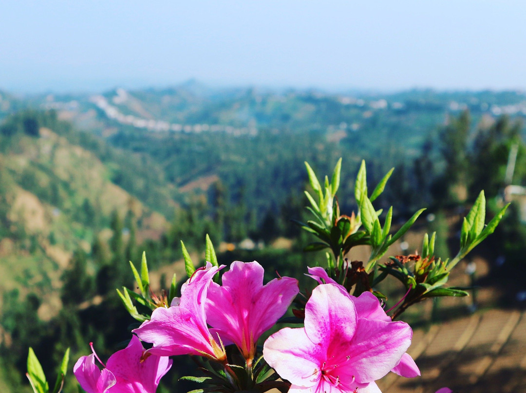 Java Explorers Tour - Day Tours景点图片