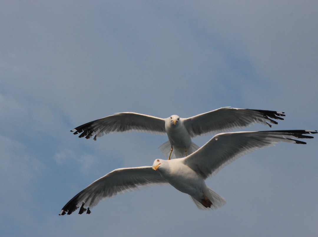 Thassos Port-Thassos Town (Limenas)必去景点