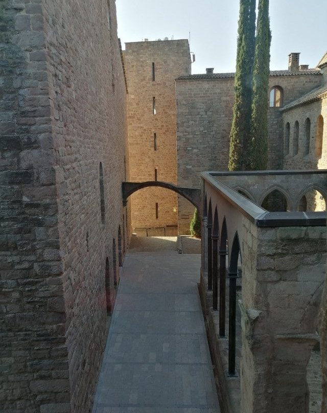 Canónica de Sant Vicenç de Cardona景点图片