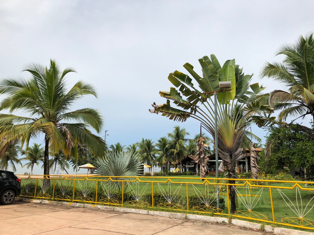 Samauma Park Hotel主图