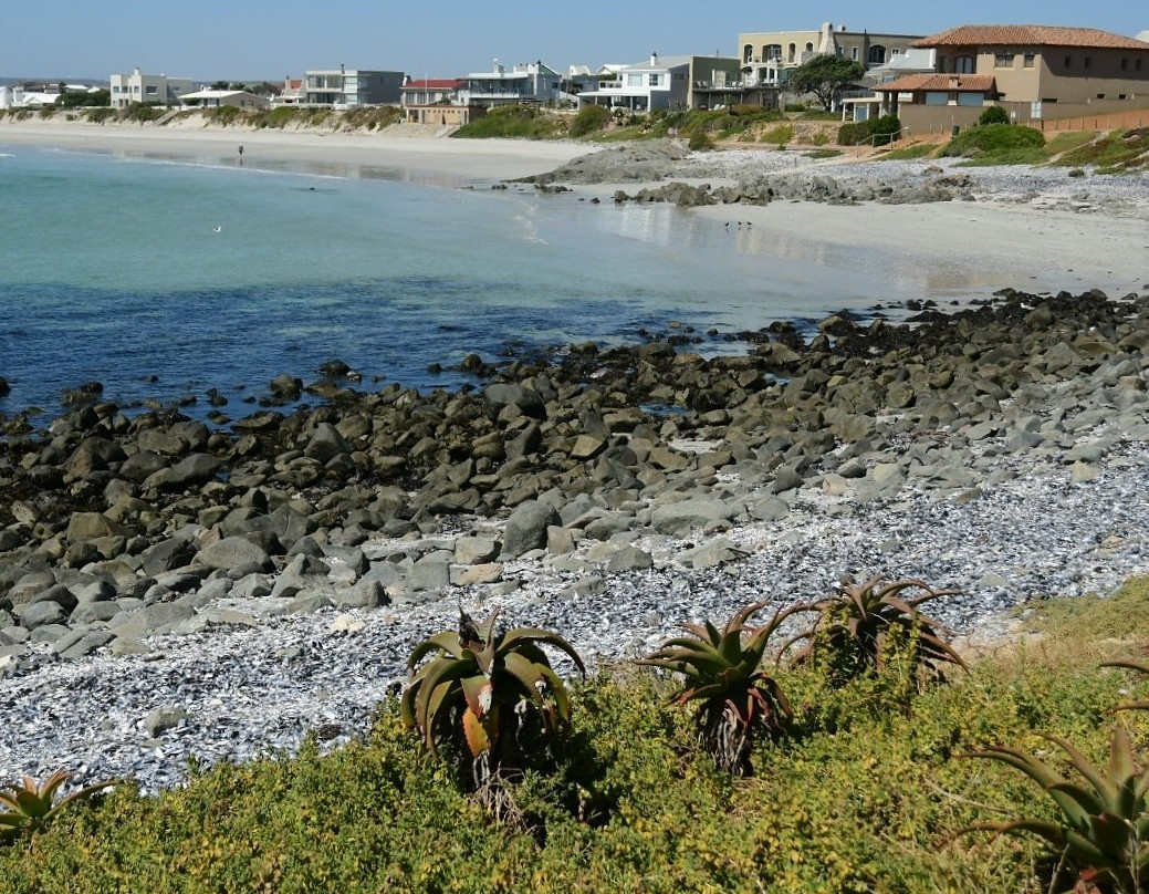 Yzerfontein's Main Beach-Yzerfontein必去景点