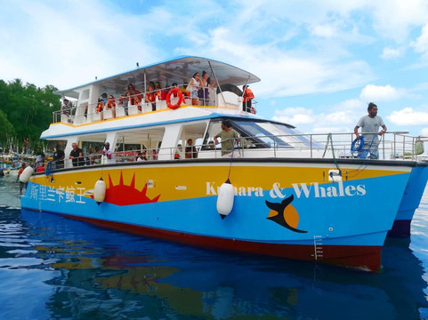 Kumara and Whales-美蕊沙必去景点