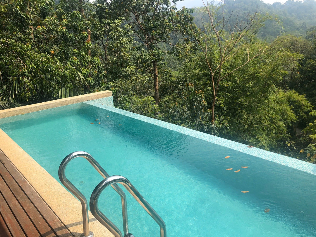 Danau Daun Chalets主图