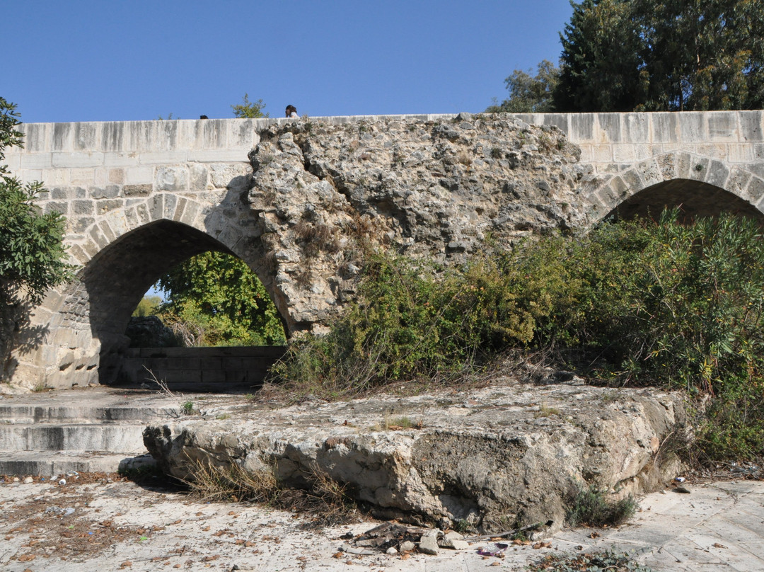 Aspendos Bridge景点图片