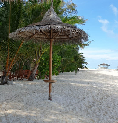 TGI - Maayafushi Diving Center-Maayafushi Island必去景点