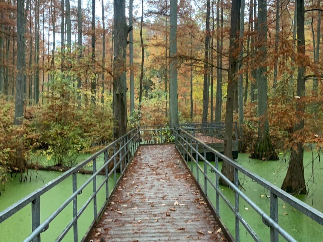 Heron Pond Preserve-Belknap必去景点