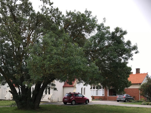 St. Brigid's Catholic Church-Cowwarr必去景点