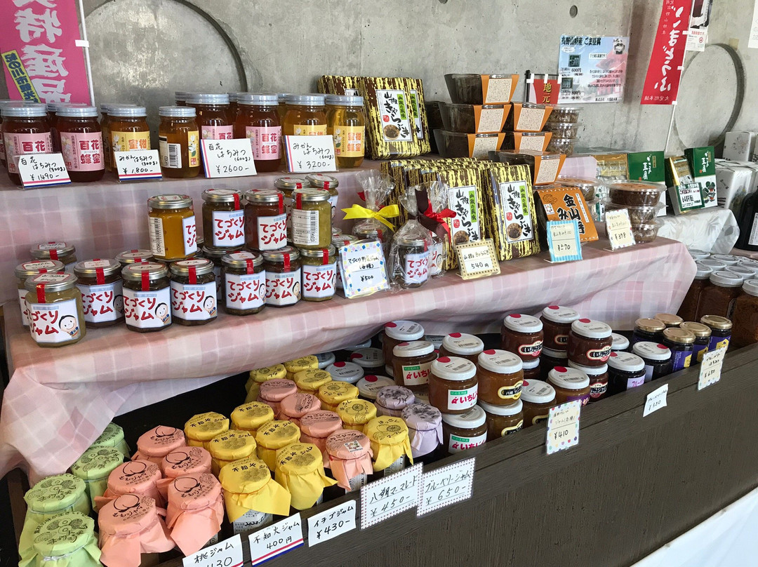 Michi-no-Eki Seishu-no-Sato-纪之川市必去景点