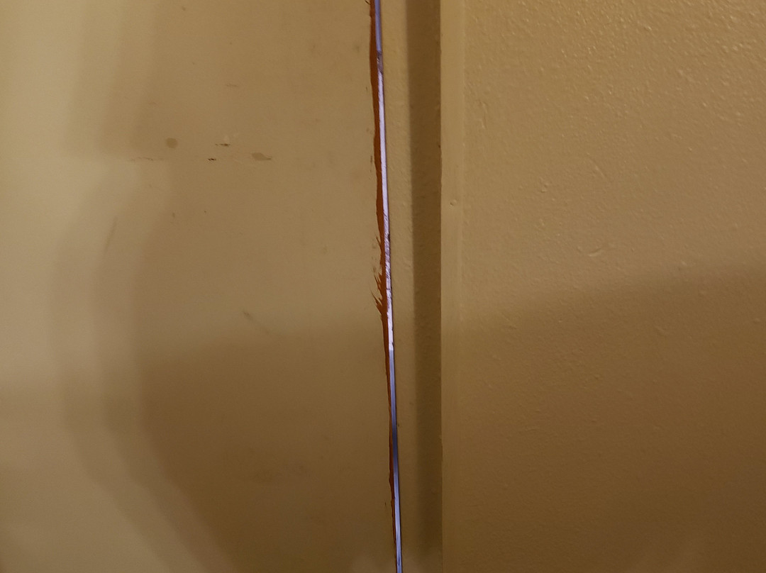 Quality Inn Near Manatee Springs State Park主图