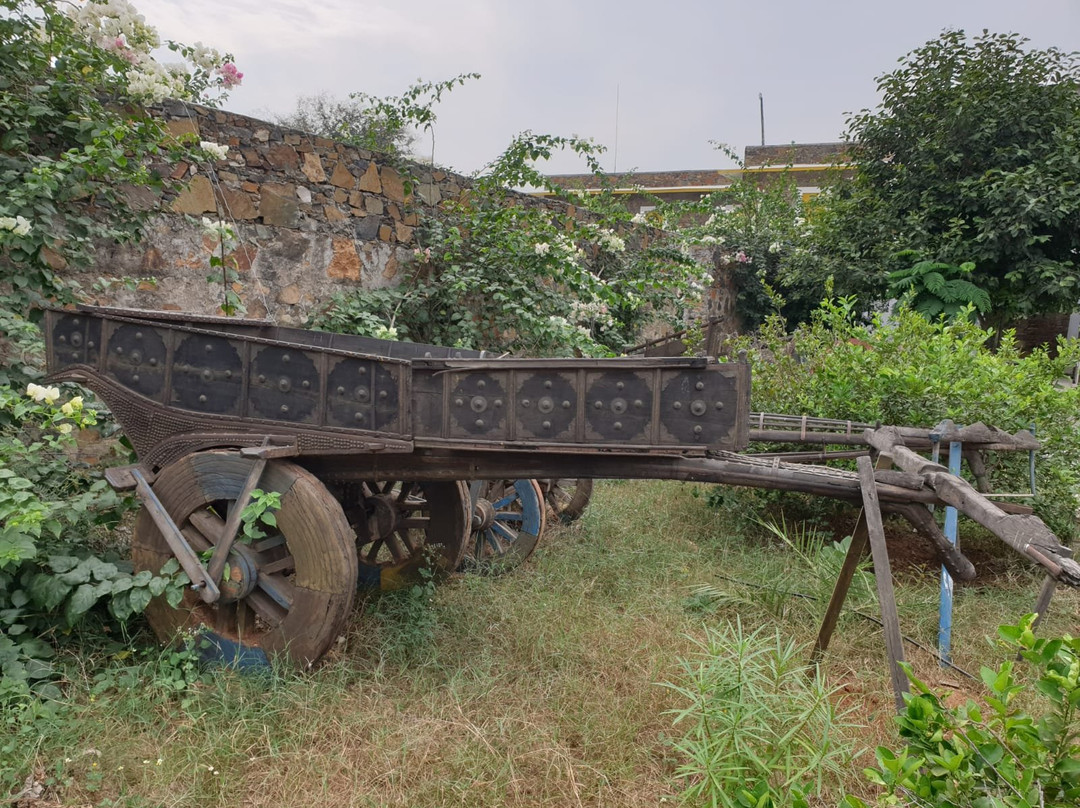 Utsav Camp Sariska主图