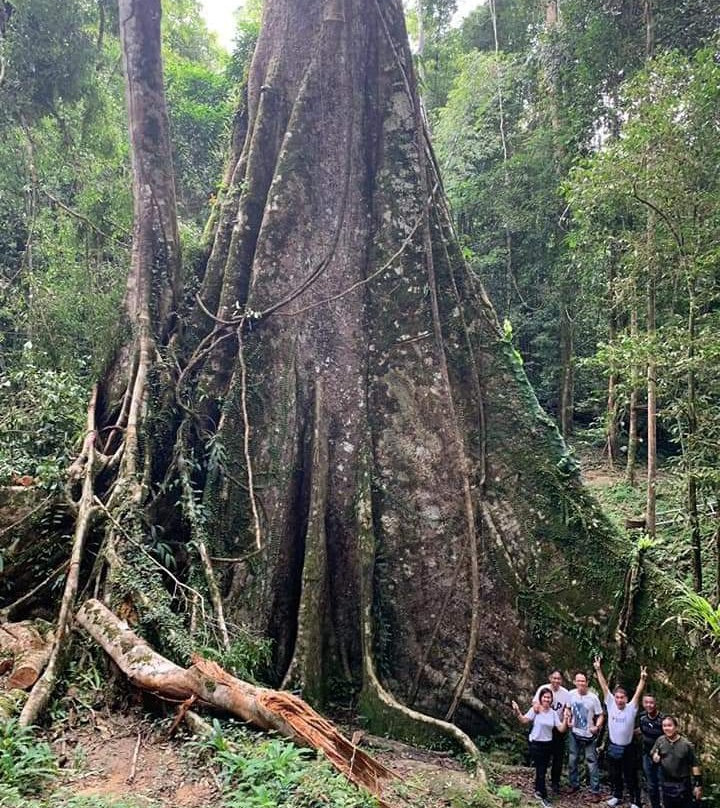 Namtok Inthason景点图片