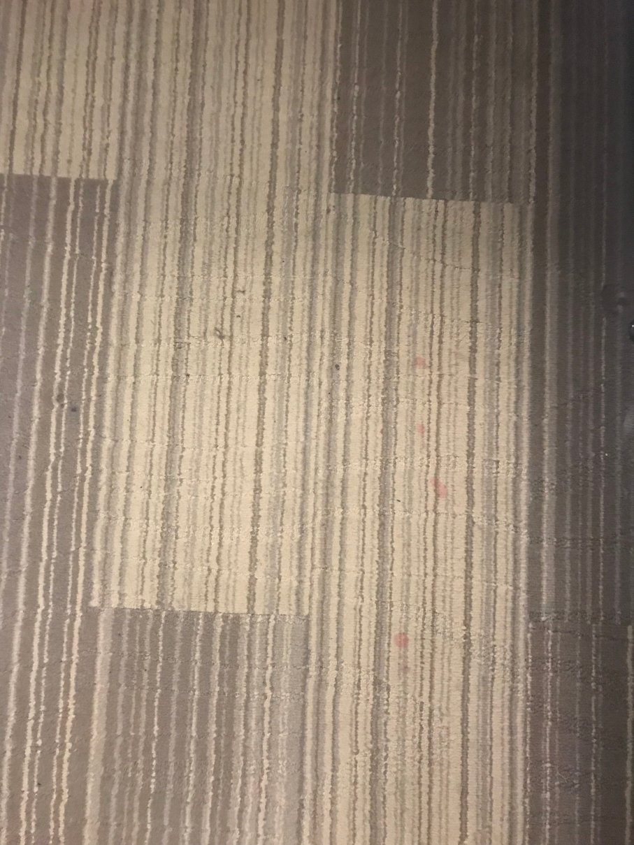 哥伦比亚东北-杰克逊堡洲际智选假日酒店-portrait