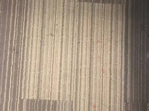 哥伦比亚东北-杰克逊堡洲际智选假日酒店主图