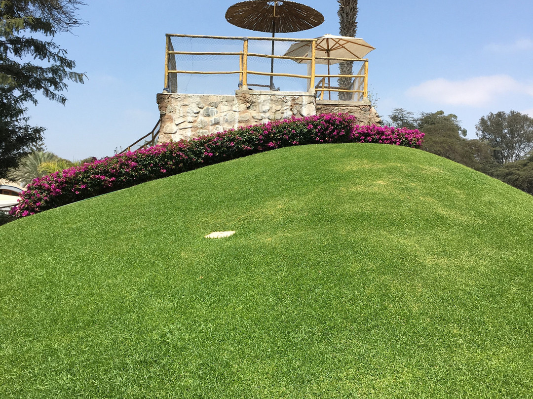 Hotel Las Dunas主图