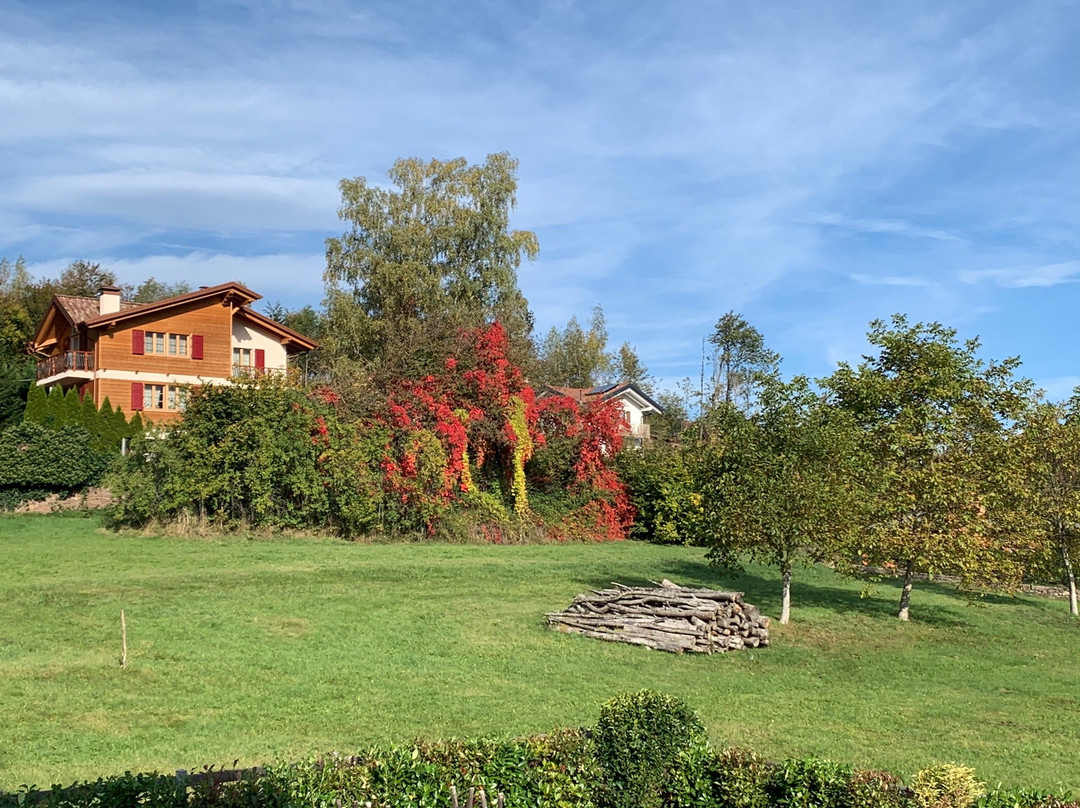 Garni Bellezza e Salute主图