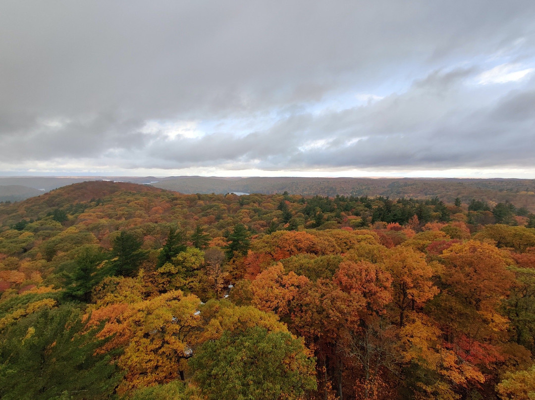 Dorset Scenic Lookout Tower景点图片