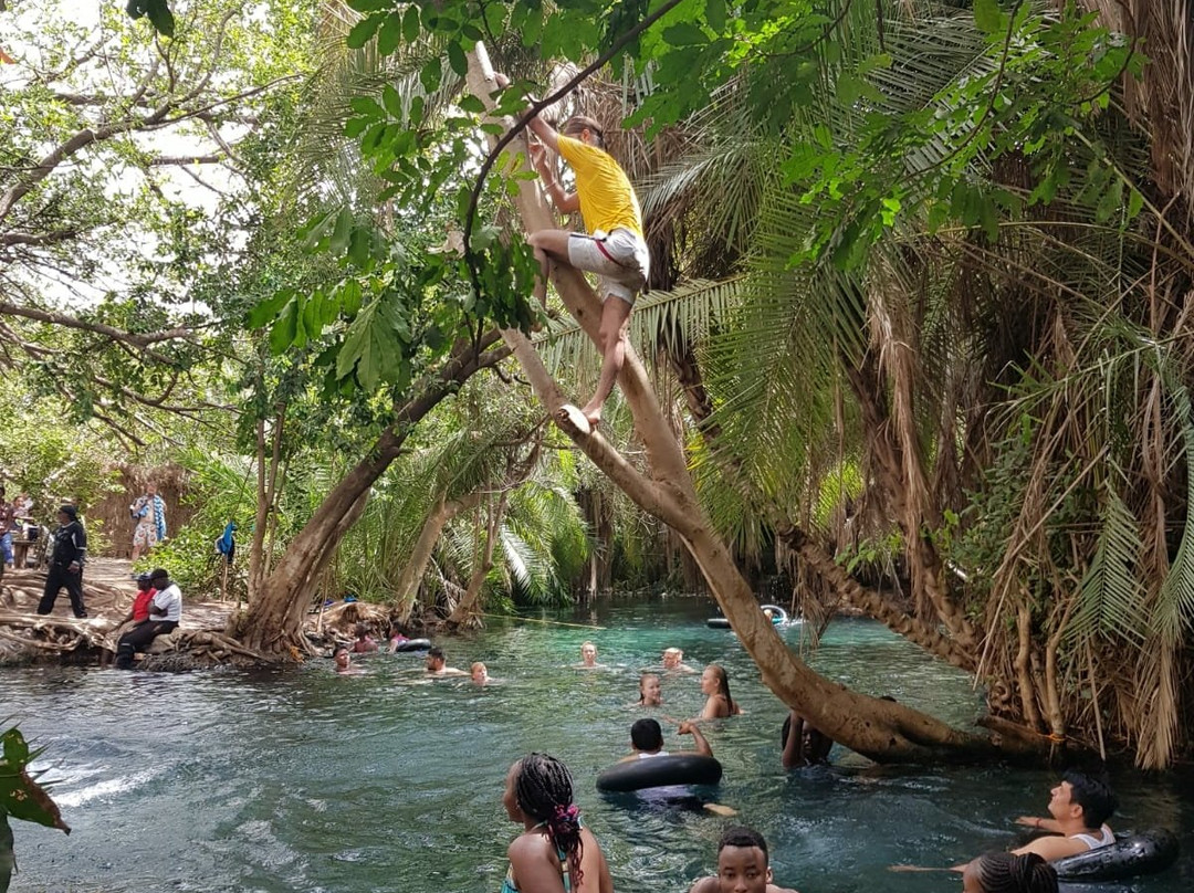 hillborn organic coffee-莫西必去景点