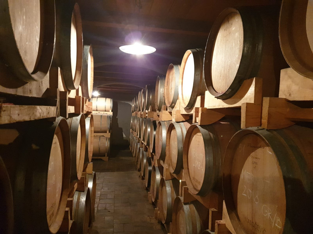 Istria Wine Tours-罗维尼必去景点