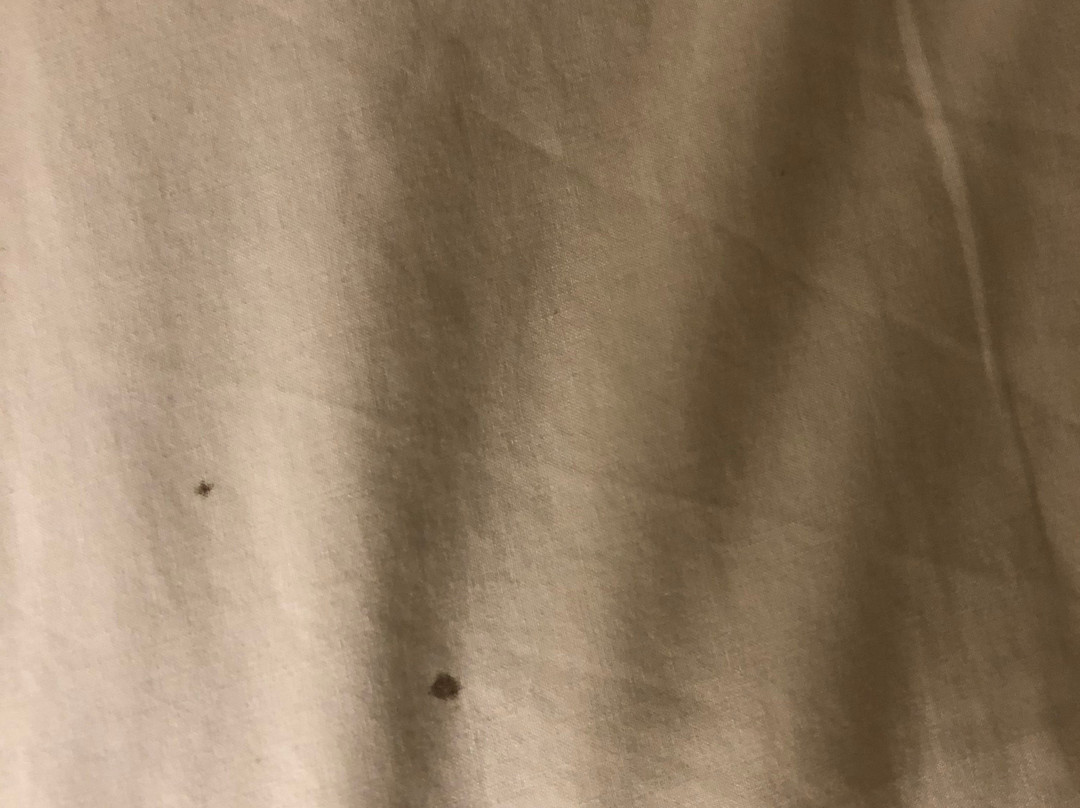 快捷假日费尔班克斯套房酒店主图