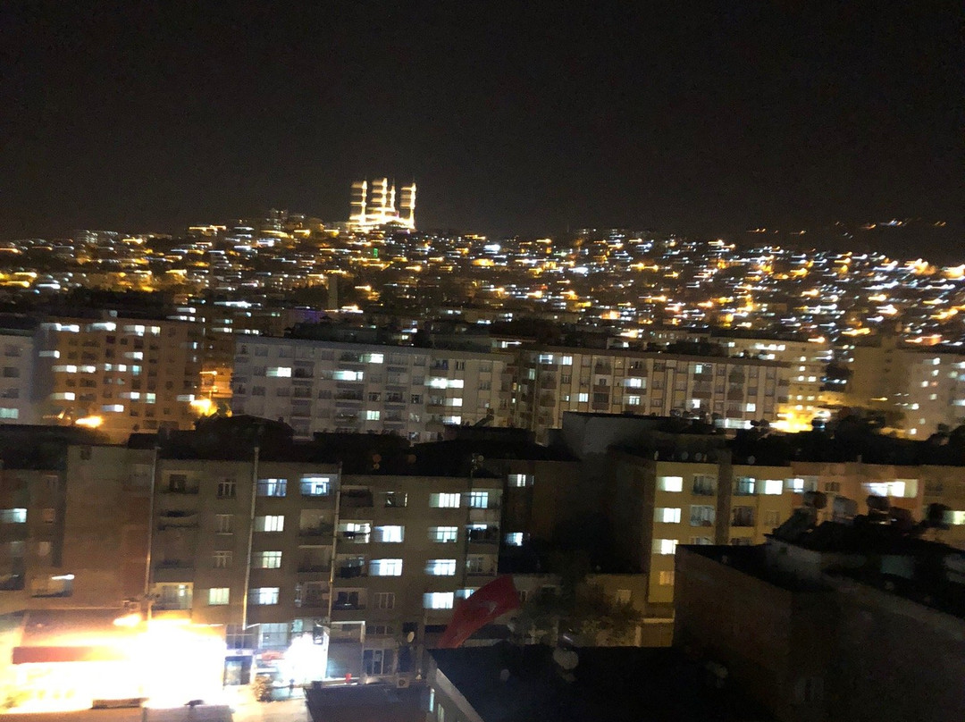 Saffron Kahramanmaras主图