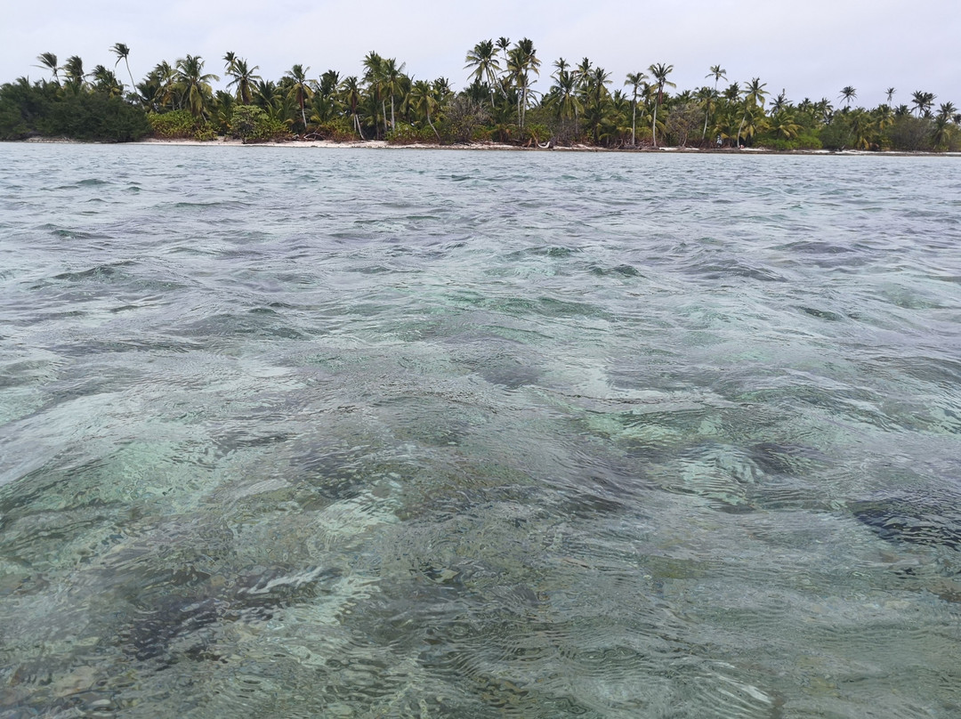 Scout Park-West Island必去景点